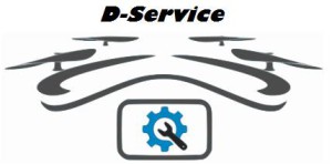 D-Service - logo