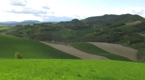 Agrinsieme Emilia-Romagna, costituito il coordinamento
