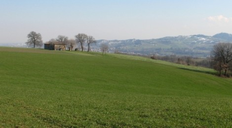 Dura Agrinsieme sull’Imu. Il governo viola i patti: colpo da milioni di euro sulle imprese agricole reggiane