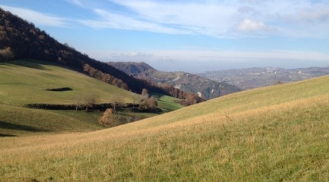 AGRINSIEME INTERVIENE SULL’IMU PER I TERRENI AGRICOLI