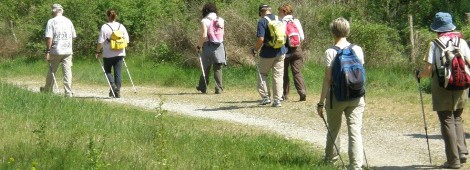 INCIA: IL CORSO BASE DI NORDIC WALKING