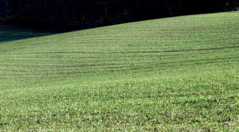 IL 3 FEBBRAIO L’ASSEMBLEA DEL SETTORE AGROALIMENTARE DI LEGACOOP EMILIA OVEST