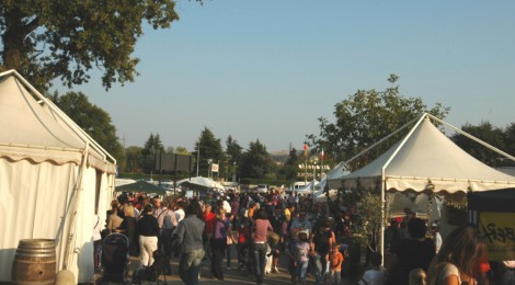 PODERE IN FESTA A SCANDIANO, CON LE COOPERATIVE SOCIALI LO STRADELLO E ZORA