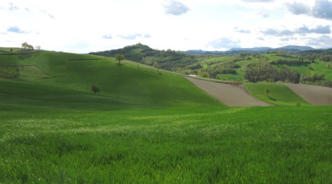 PROGETTI DI FILIERA 2017 QUASI 136 MILIONI PER L’AGROALIMENTARE REGIONALE. SODDISFAZIONE DI AGRINSIEME