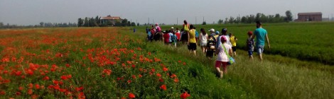 UN’ESTATE IN GIOCO CON LA COOPERATIVA SOCIALE SOLIDARIETÀ 90