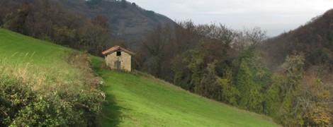 ESCURSIONI A 6 ZAMPE CON INCIA, NELLA VALLE DEL TASSARO