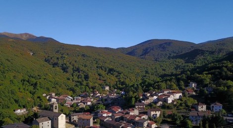 COOPERATIVE FORESTALI:  PER L’ALLEANZA DELLE COOPERATIVE UN PASSO IN AVANTI